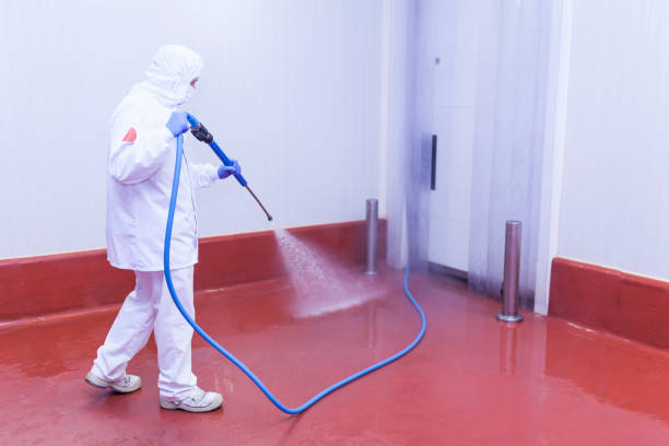Best Rust Removal  in Elton, LA